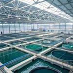 Partners Sought for a Fish Farming Project in Saudi Arabia, Preferably Riyadh