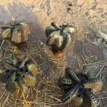 Wanted: Used Scrap Drill Bits - American Made (PDC & Tricone)